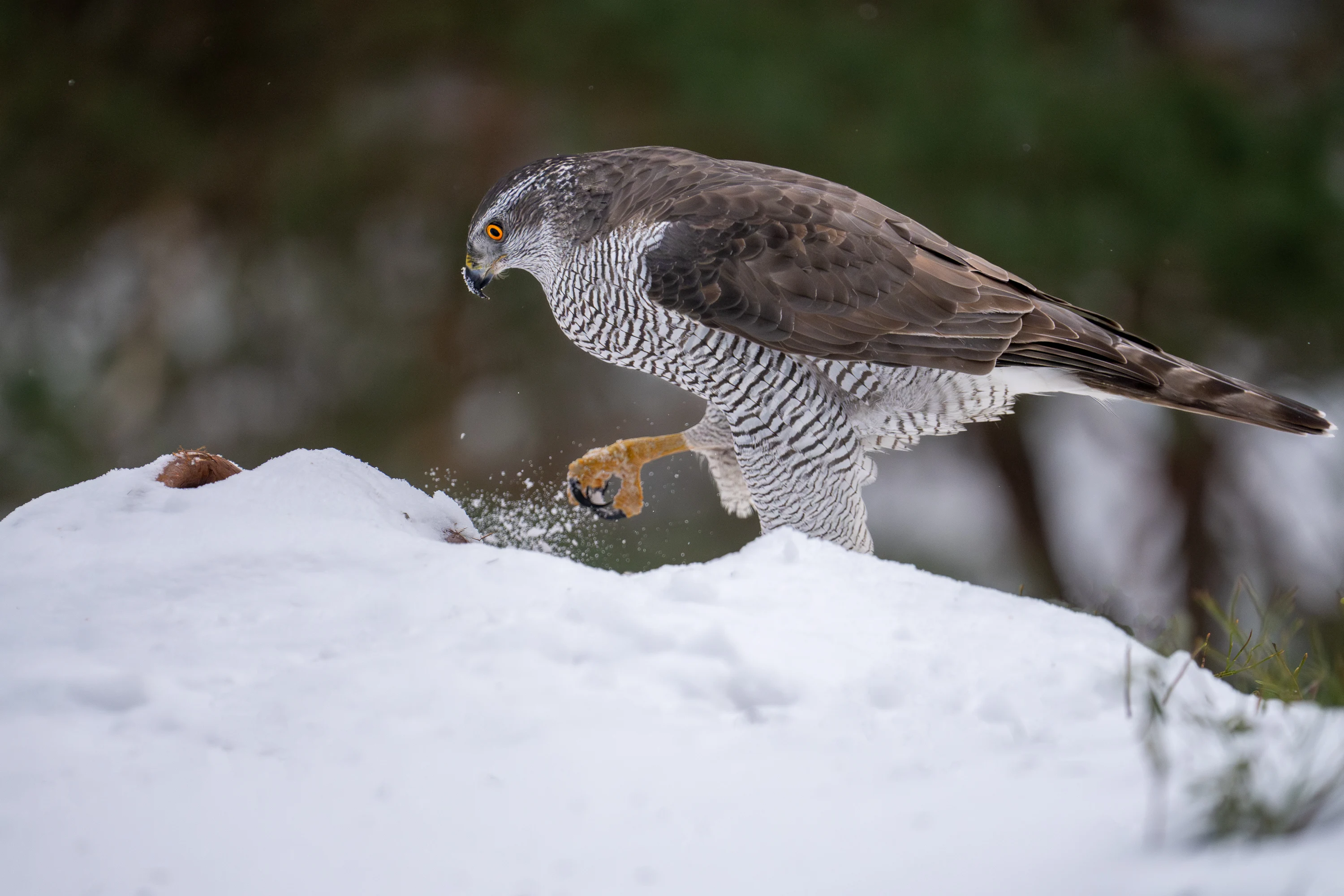 Instagram Post Placeholder